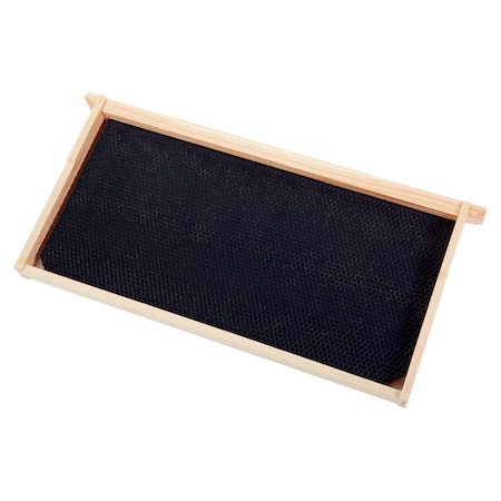 Little Giant Little Giant Deep Hive Frames DFRBLACK